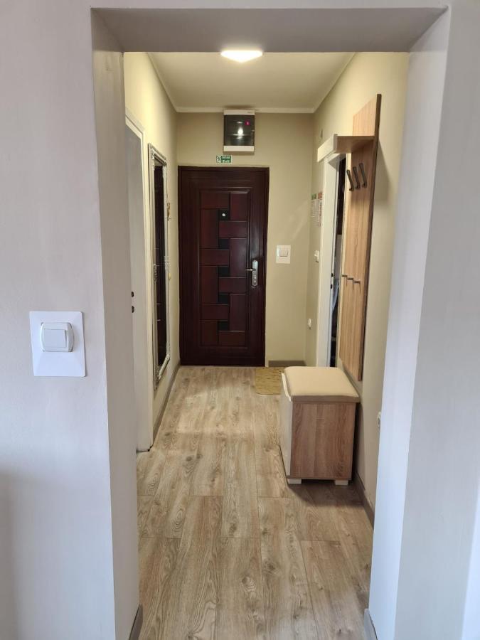 Apartman Petrov Donji Milanovac Zewnętrze zdjęcie