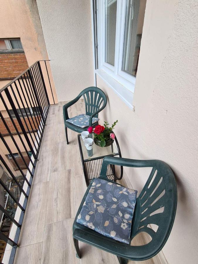 Apartman Petrov Donji Milanovac Zewnętrze zdjęcie