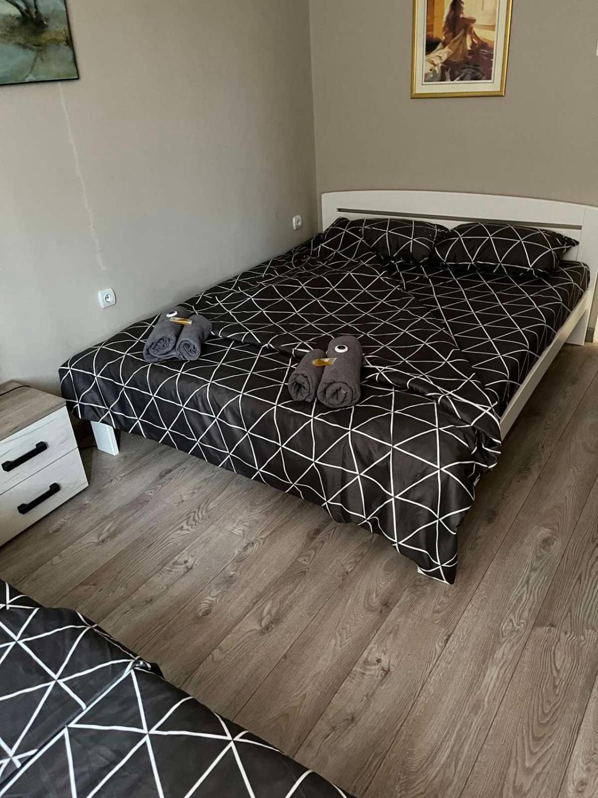 Apartman Petrov Donji Milanovac Zewnętrze zdjęcie