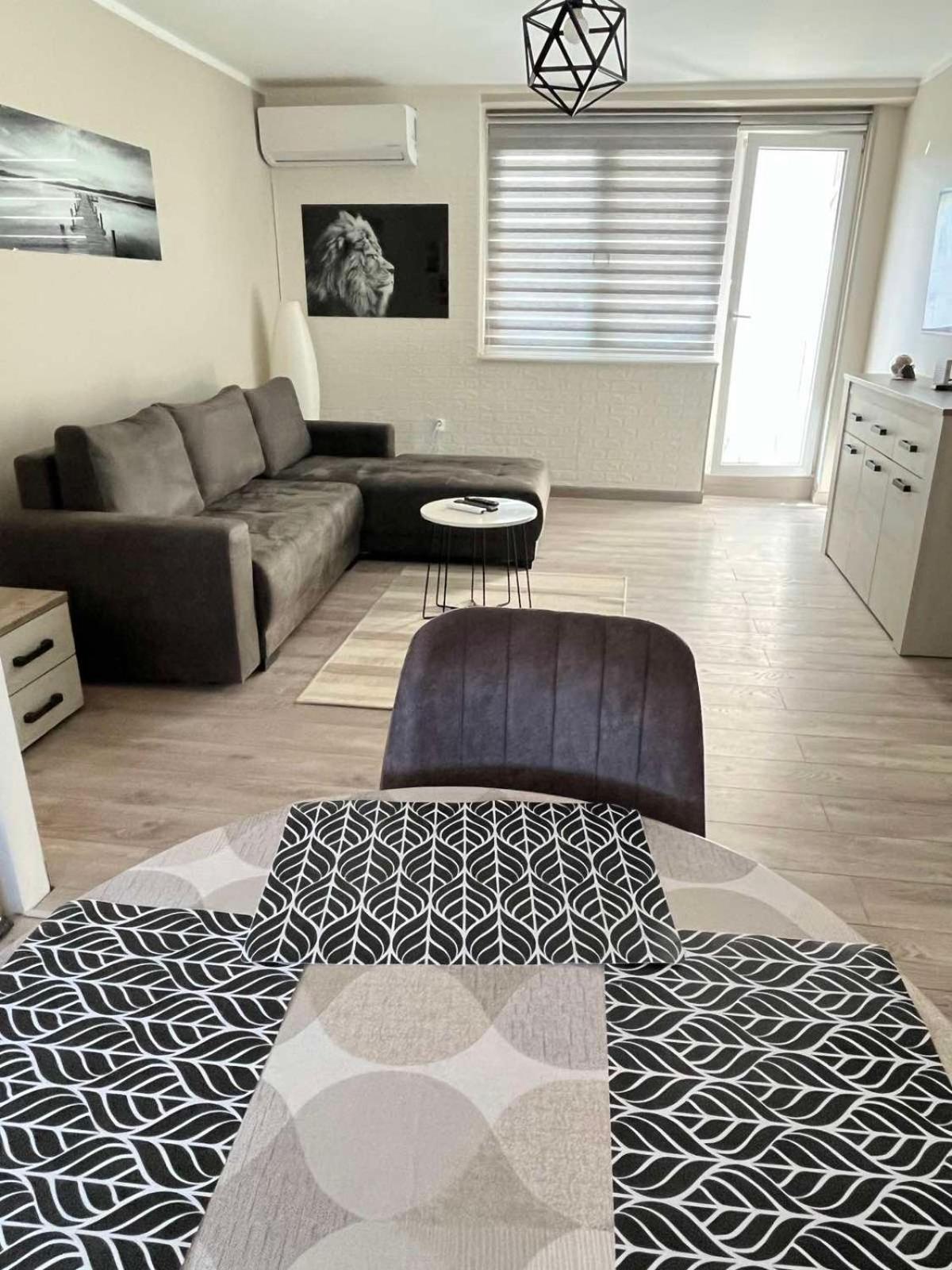 Apartman Petrov Donji Milanovac Zewnętrze zdjęcie