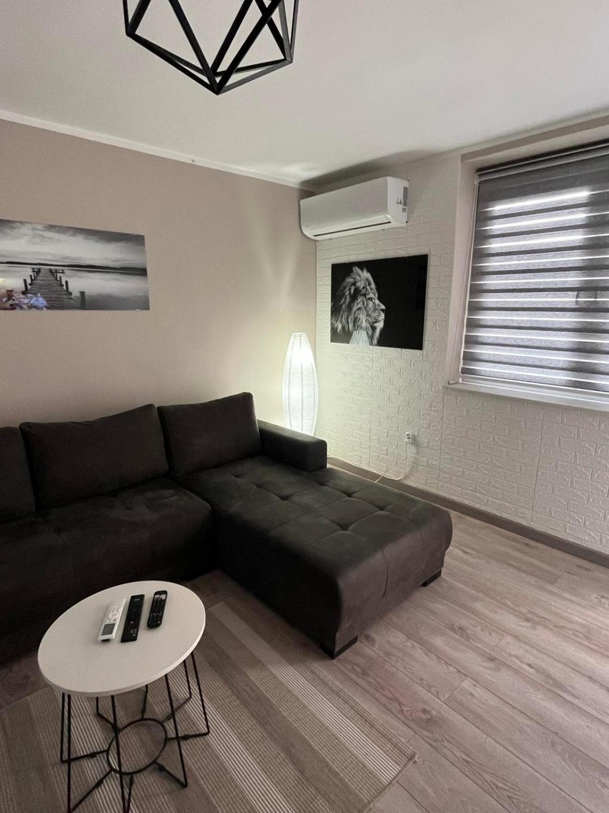Apartman Petrov Donji Milanovac Zewnętrze zdjęcie